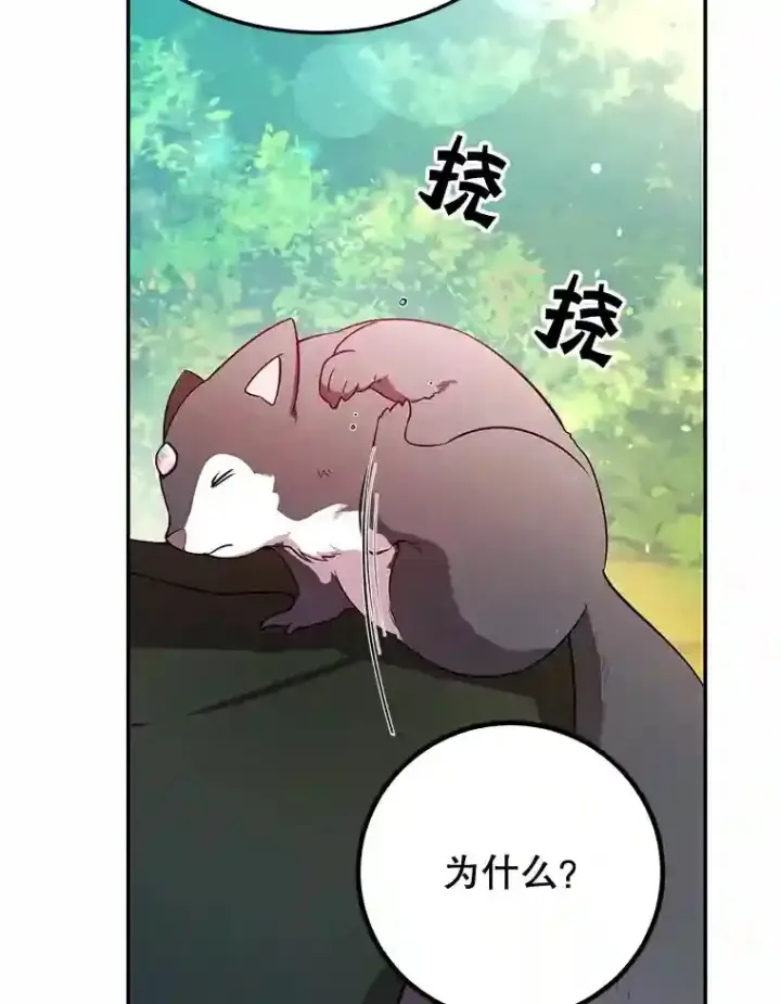 漫画《10星级扭蛋玩家》15.获得史诗级宠物第104张图