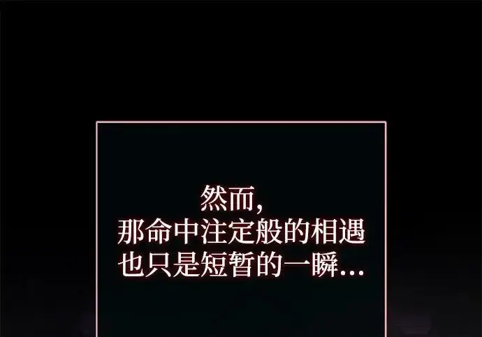 《66666年后复活的黑魔法师》第176话 信任图247