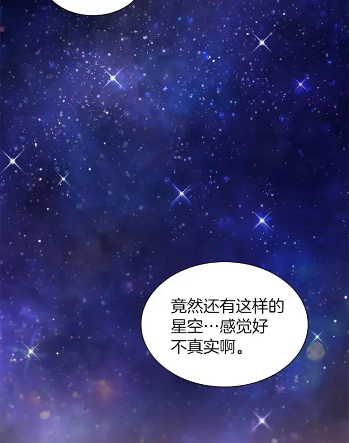 《AI神医的诞生》104.美丽的星空图96