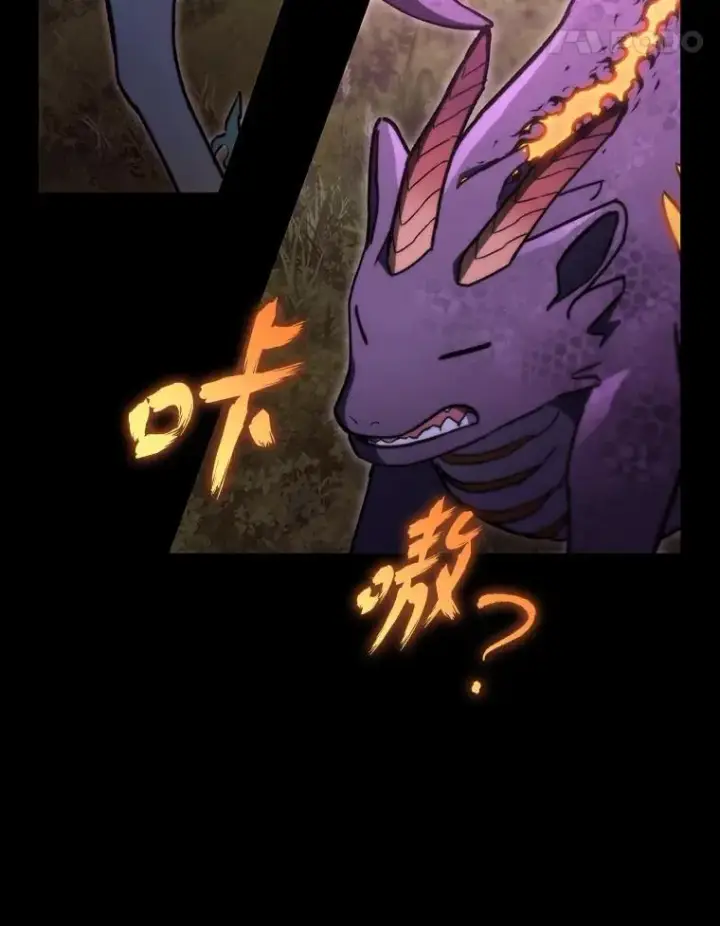 漫画《F级四柱猎人》50.与命运奋力抗争第11张图