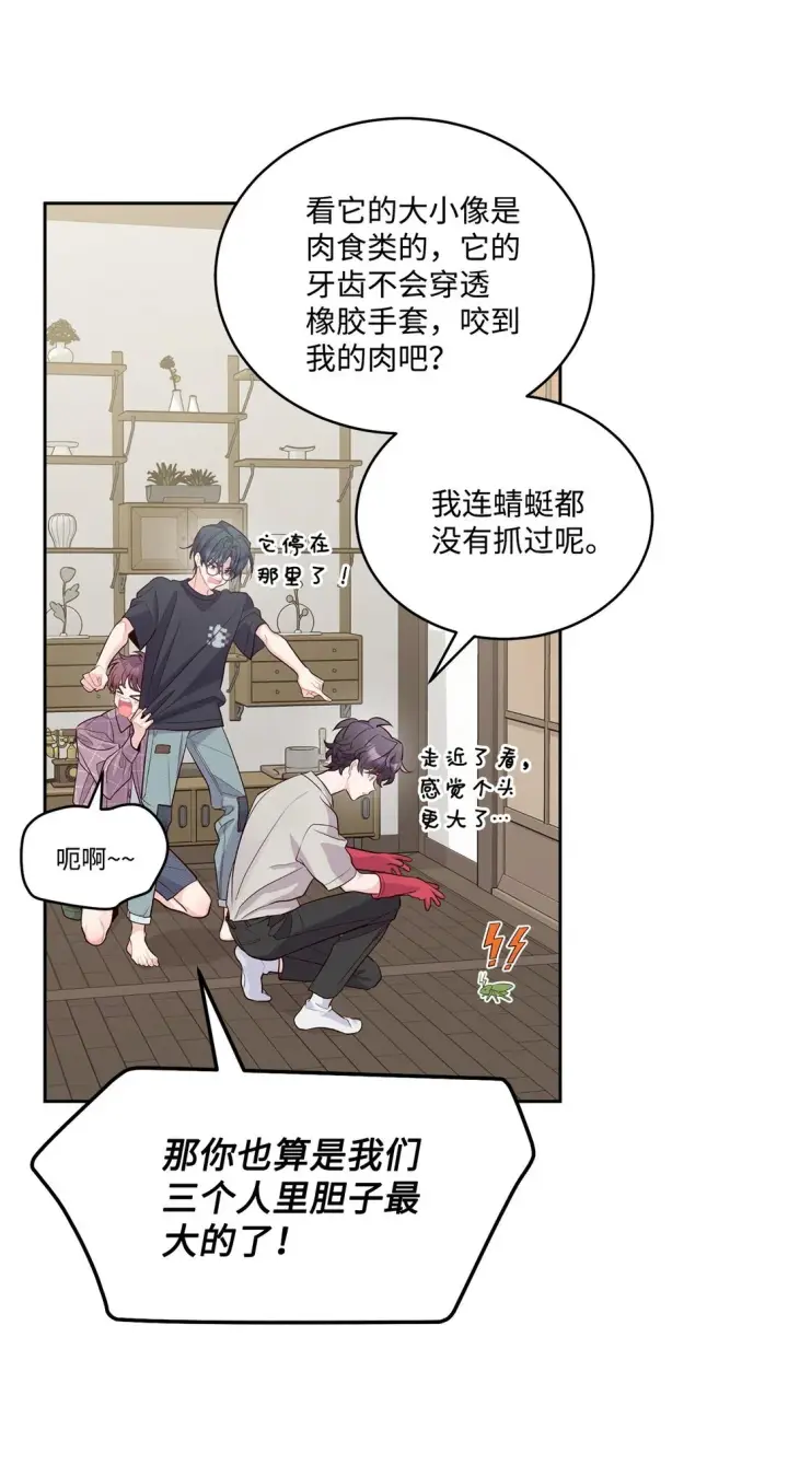 漫画《Merry Marbling 云石般的我们》74 他们俩的关系是？第66张图