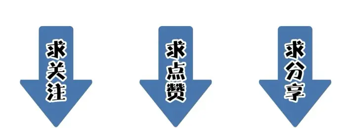 漫画《SSS级超越常理的圣骑士》第10话 暴力美学第209张图