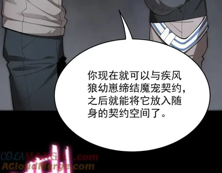 漫画《SSS级超越常理的圣骑士》第27话 史诗阶魔宠第137张图