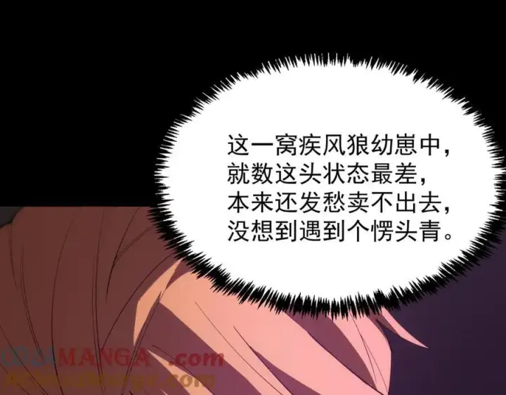 漫画《SSS级超越常理的圣骑士》第27话 史诗阶魔宠第141张图