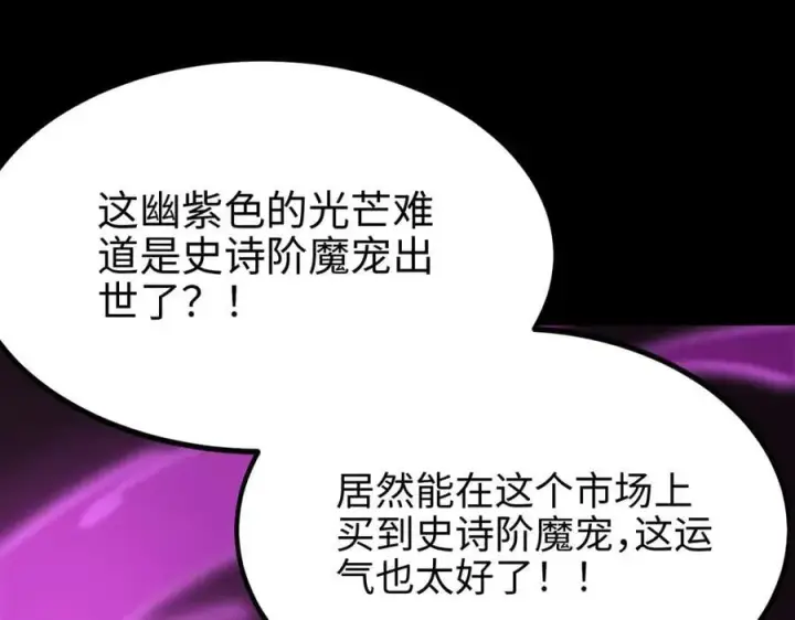 漫画《SSS级超越常理的圣骑士》第27话 史诗阶魔宠第158张图