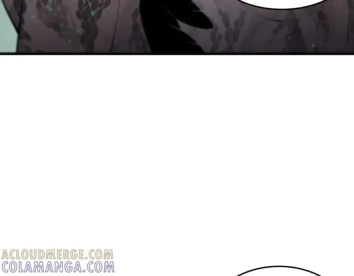 漫画《SSS级超越常理的圣骑士》第100话 猫鼠游戏（中）第117张图