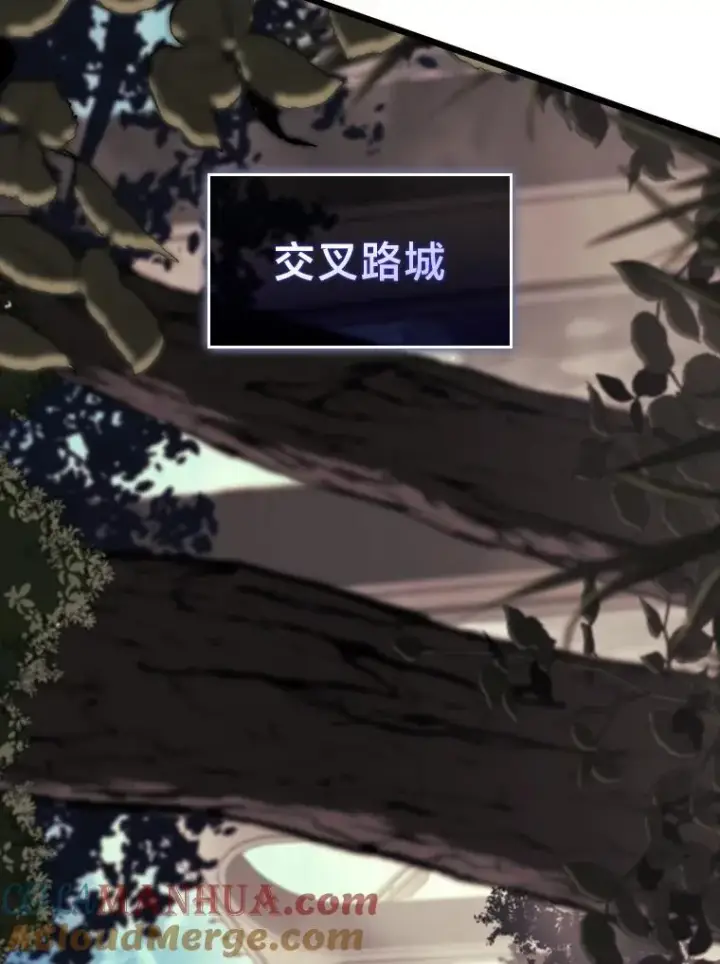 《SSS级狂战士回归》41.交叉路城图133