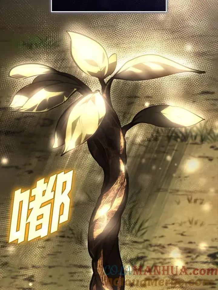 《SSS级狂战士回归》46.世界树之苗图125