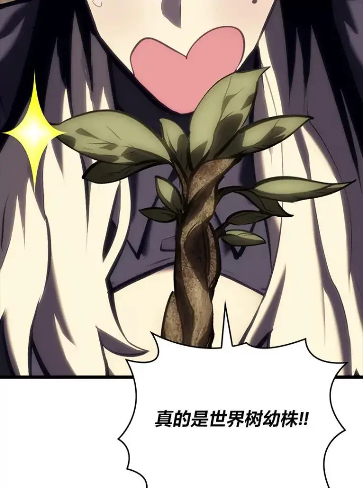 《SSS级狂战士回归》48.半精灵的认可图155