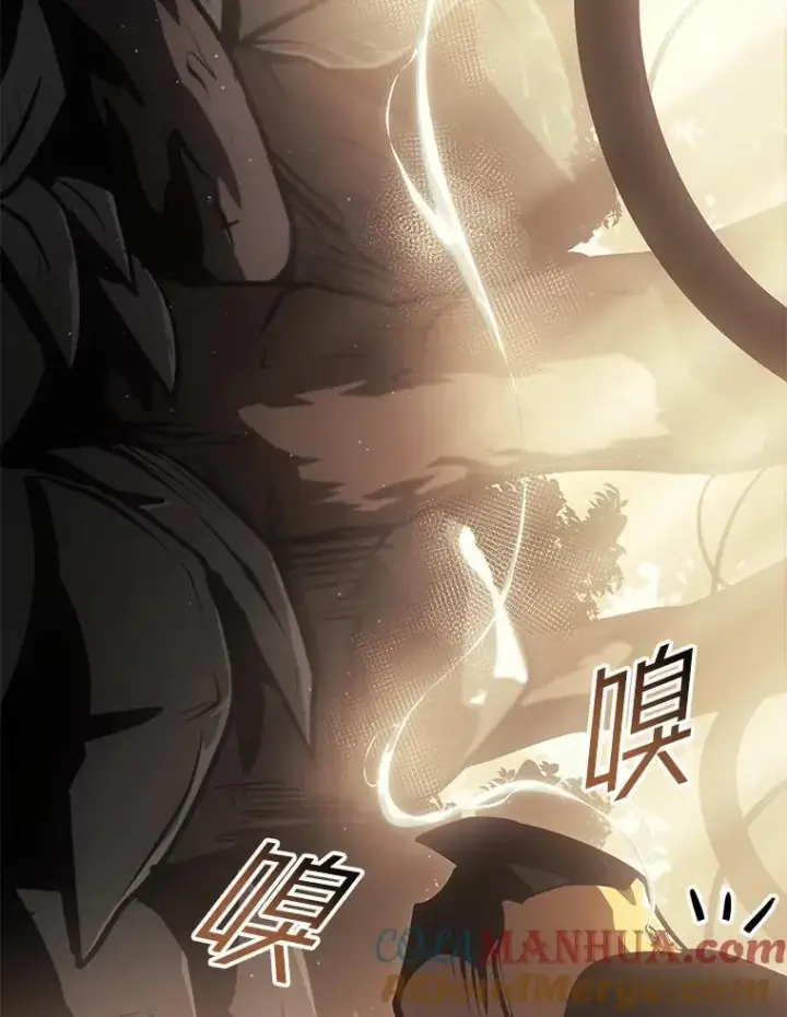 《SSS级狂战士回归》74.议会老者的委托图133