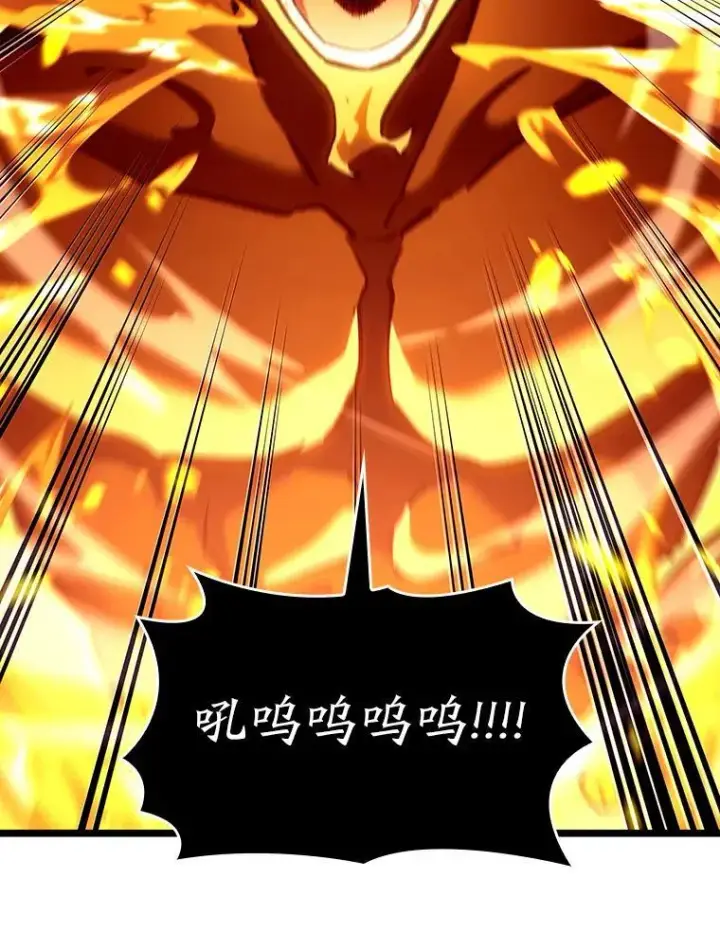《SSS级狂战士回归》114.堕落之火精灵图6