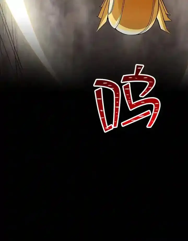 《SSS级隐藏大佬》0.人生逆转图43