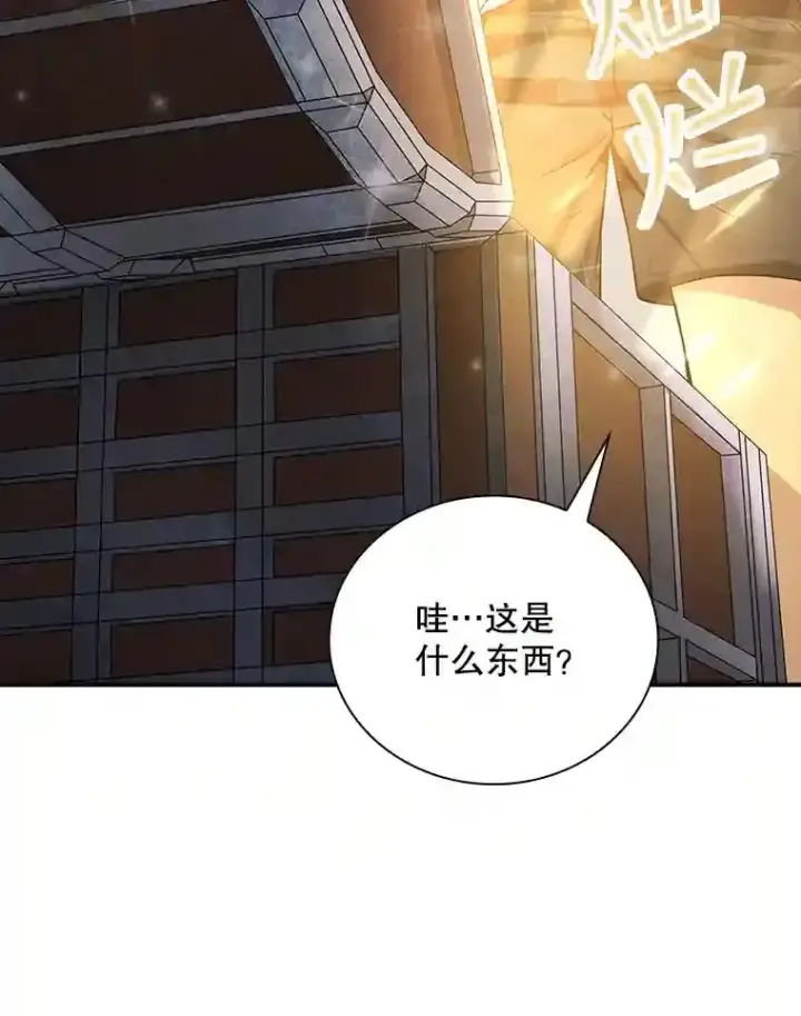 《SSS级隐藏大佬》1.觉醒的机会图107