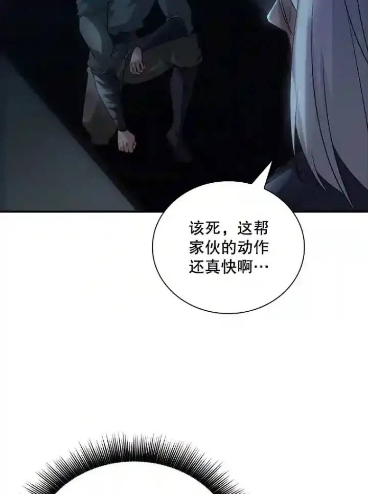 《SSS级隐藏大佬》12.S级魔人图100