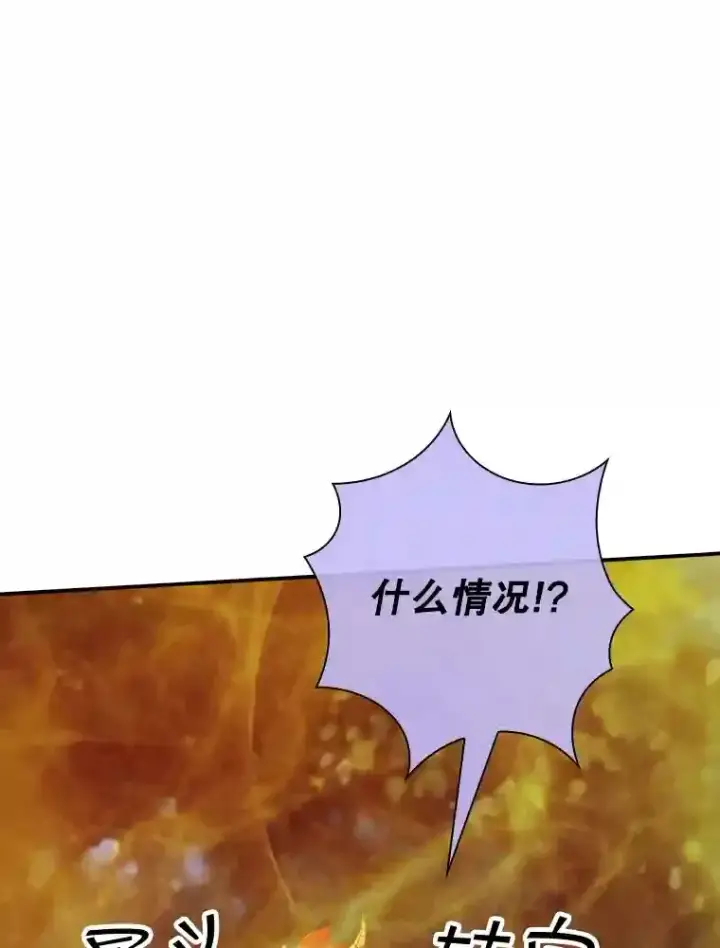 《SSS级隐藏大佬》20.雷康鸡图70