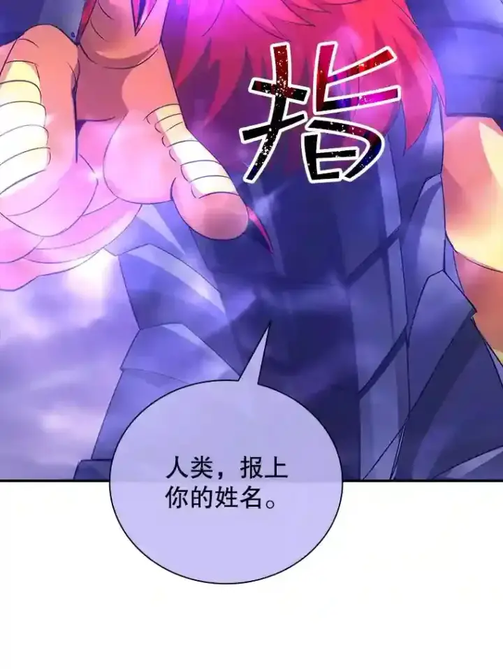 《SSS级隐藏大佬》20.雷康鸡图77