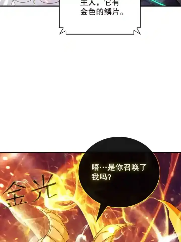 《SSS级隐藏大佬》25.爱德拉安图3