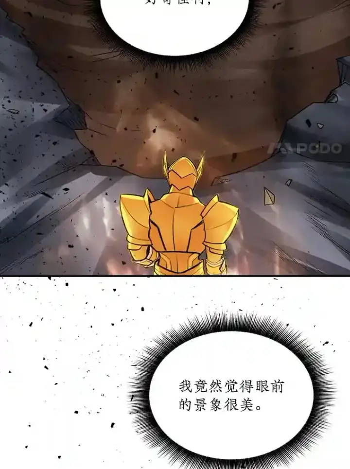《SSS级隐藏大佬》31.新江楠精英图110