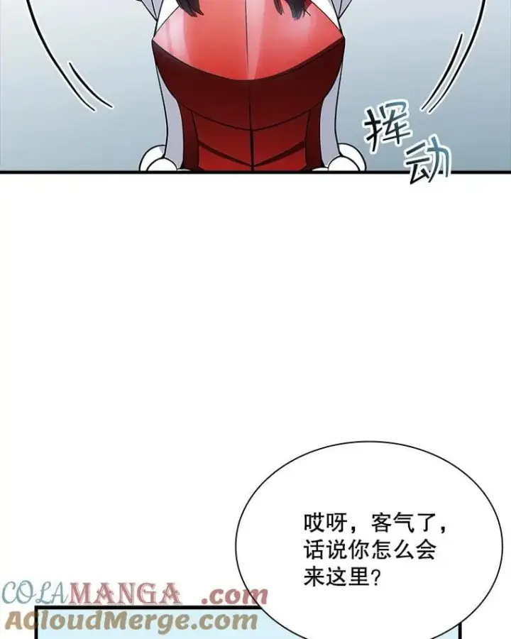 《SSS级隐藏大佬》89.R国的委托图45