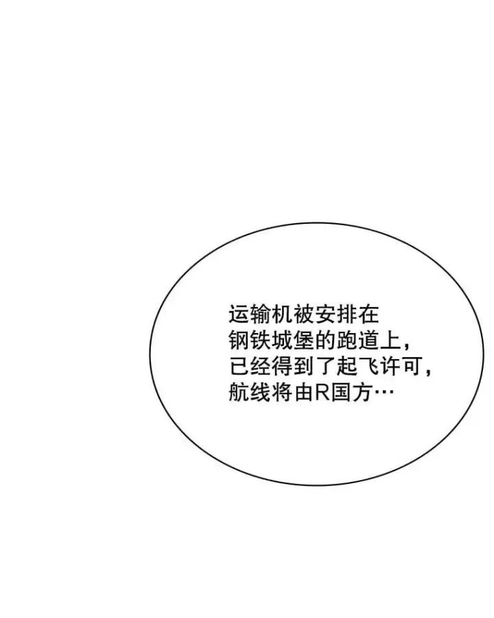 《SSS级隐藏大佬》89.R国的委托图98