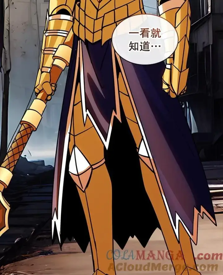 《SSS级隐藏大佬》120.稍逊一筹图77