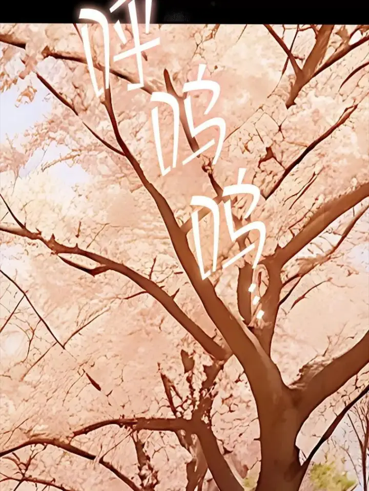 《SSS级隐藏大佬》121.不要依赖视觉图39
