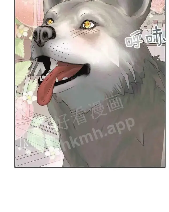 漫画《The Siren : 恶魔的契约家人》32.拒绝请求第72张图