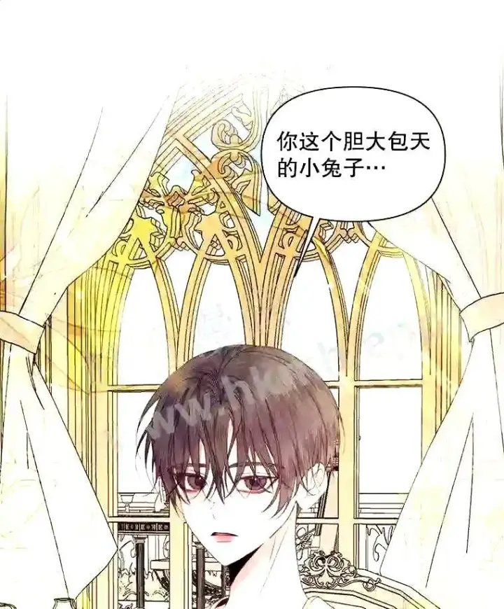 漫画《The Siren : 恶魔的契约家人》37.未来的夫人第64张图