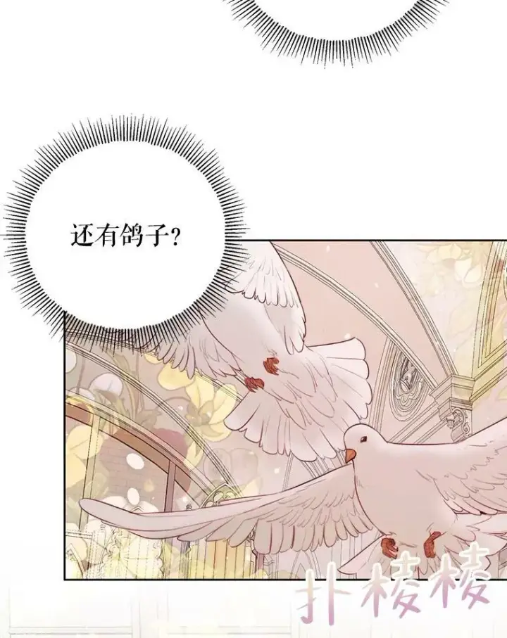 漫画《The Siren : 恶魔的契约家人》52.再次相遇第86张图