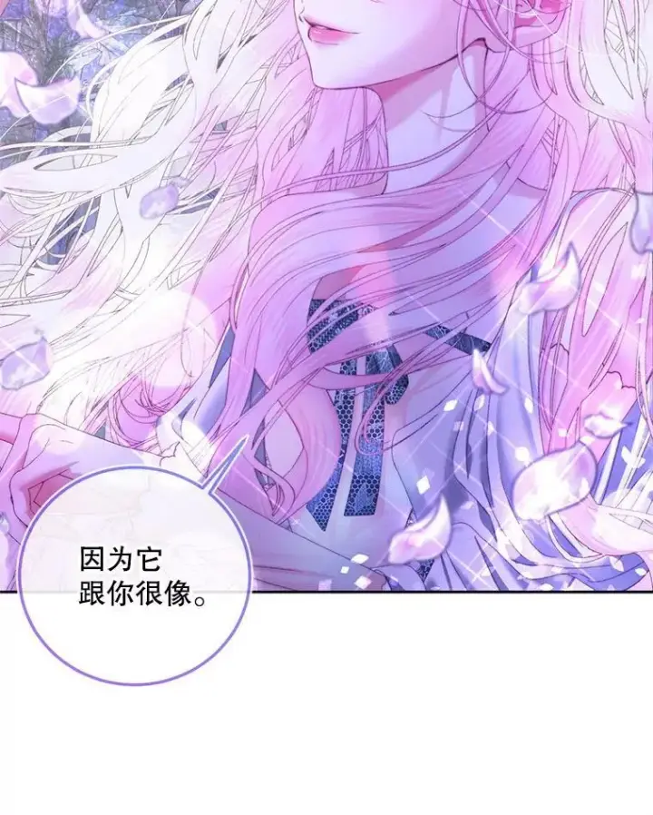 漫画《The Siren : 恶魔的契约家人》57.夏托伯爵之死第46张图