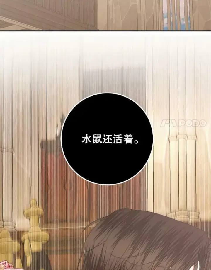 漫画《The Siren : 恶魔的契约家人》65.水鼠第88张图