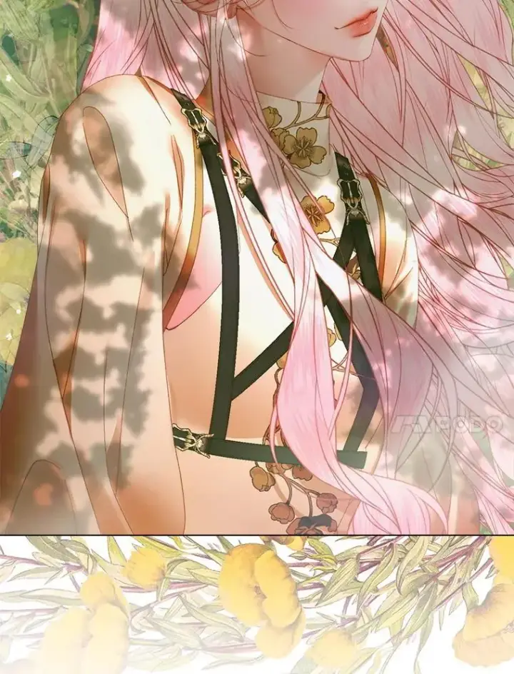 漫画《The Siren : 恶魔的契约家人》105.神秘歌声第23张图