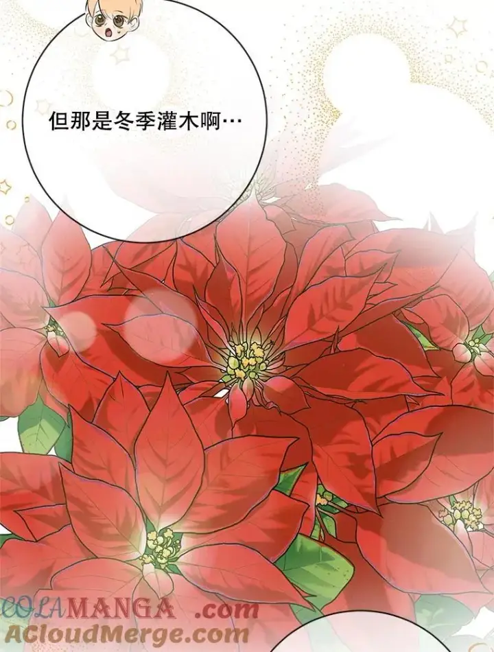 漫画《The Siren : 恶魔的契约家人》120.第120话第85张图