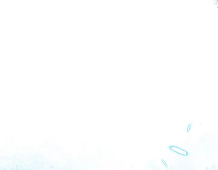 漫画《安洁莉卡：不一样的夫人》第14话 问责第174张图