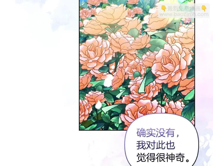 《安洁莉卡：不一样的夫人》第44话 你敢和我打赌吗？图143