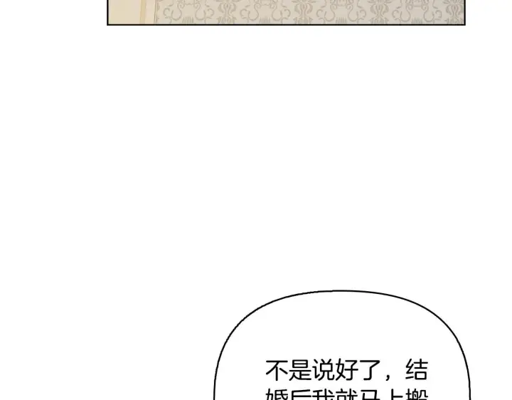 《安洁莉卡：不一样的夫人》完结篇 期盼已久的婚礼图76