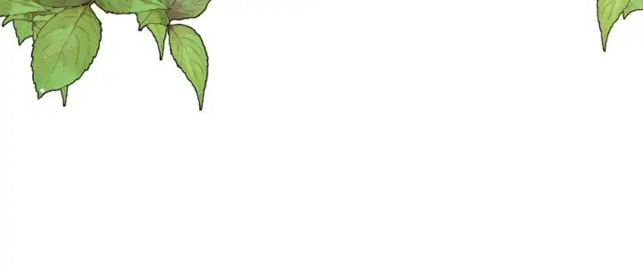 漫画《拜托放过艾米丽小姐吧》第04话第164张图