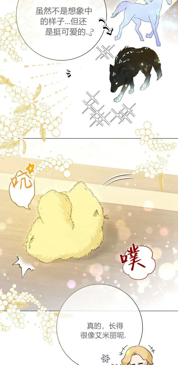 漫画《拜托放过艾米丽小姐吧》第35话第12张图