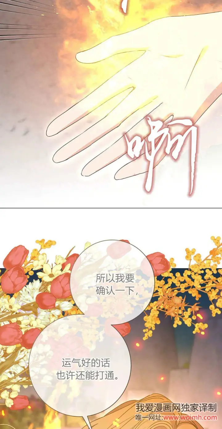 漫画《拜托放过艾米丽小姐吧》第40话第57张图