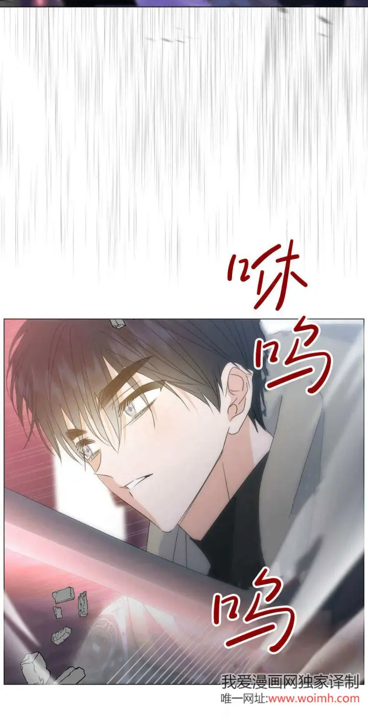 《拜托放过艾米丽小姐吧》第41话图9