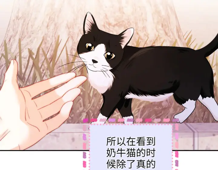 漫画《帮我拍拍》第37话  于舟没有等过我第30张图