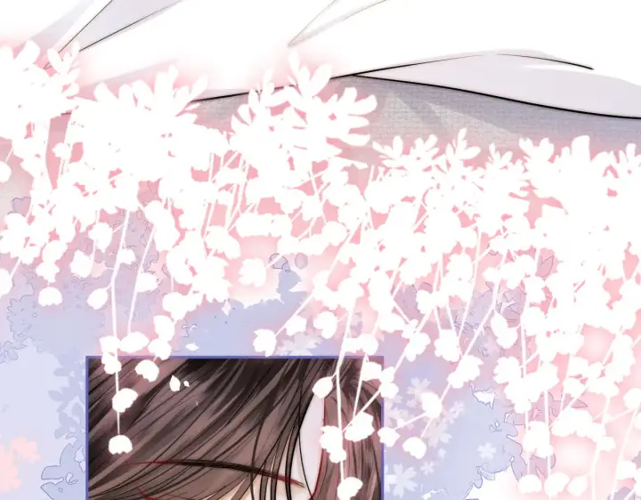 漫画《帮我拍拍》第38话  雏鸟情节第12张图