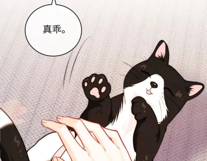 漫画《帮我拍拍》第40话  喜欢被你打扰第51张图