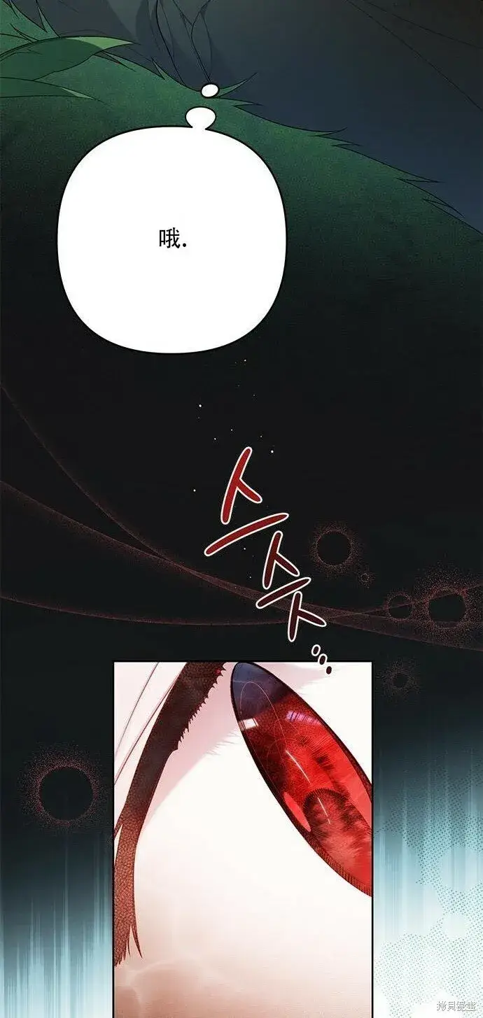 漫画《宝贝暴君》[第12话] 难道是只兔子_第58张图