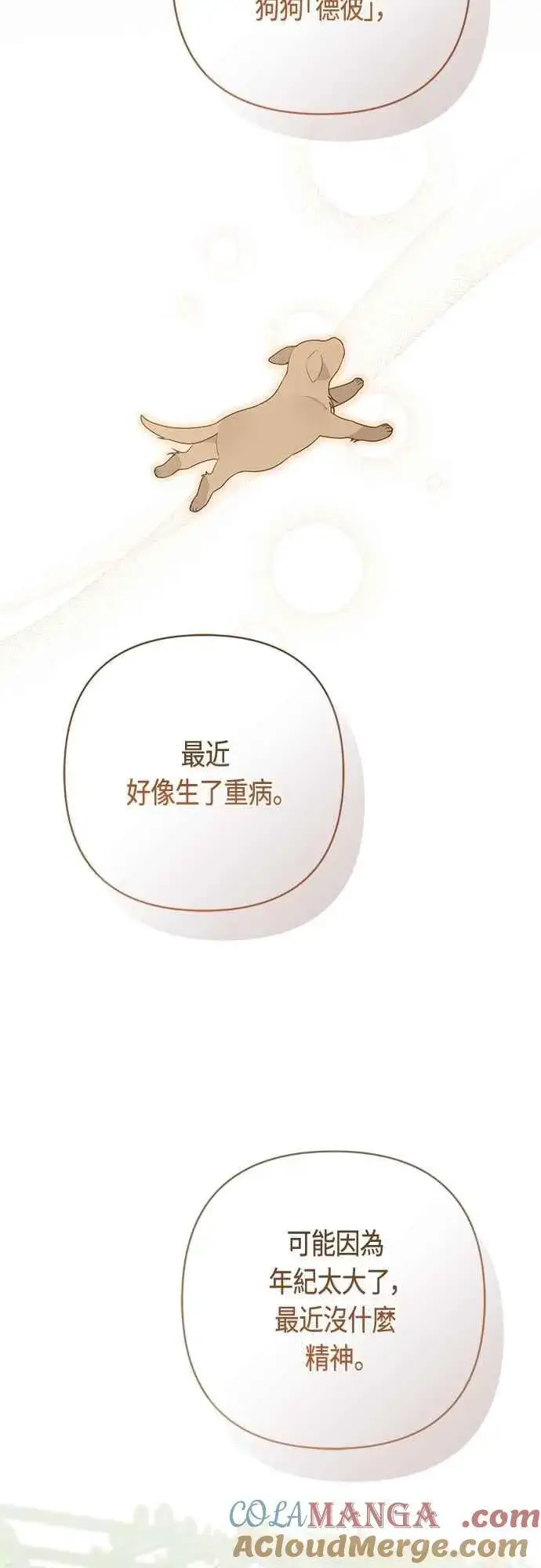 《宝贝暴君》第91话 玫伊布尔的下午茶派对图52