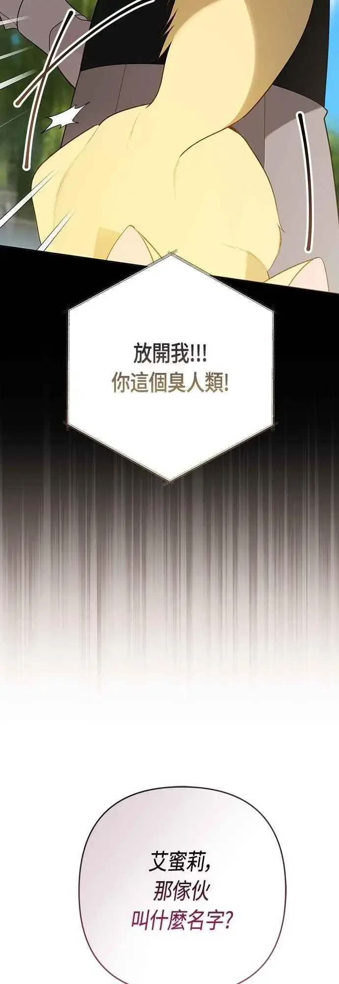 《宝贝暴君》第91话 玫伊布尔的下午茶派对图65