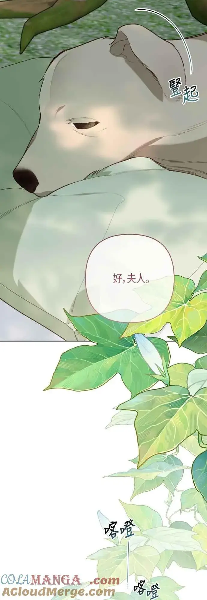《宝贝暴君》第94话 德彼和德波利尔夫人图22