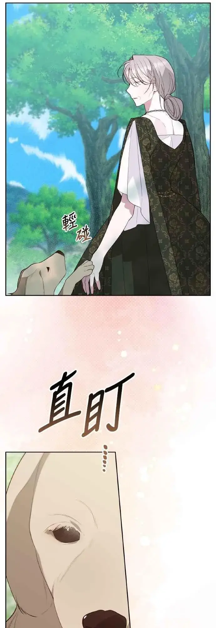 《宝贝暴君》第95话 离开玫伊布尔，艾依丹图14