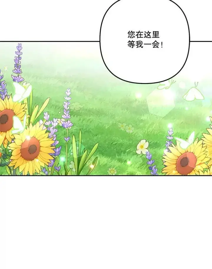 《宝贝皇后殿下》36.散步图90