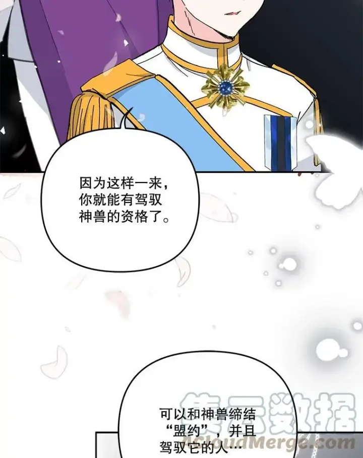 《宝贝皇后殿下》46.操控神兽的条件图34
